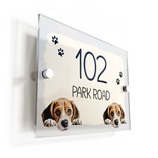 Beagle dog puppy for sale  BARROW-IN-FURNESS