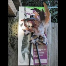 Damaged smarty kat for sale  Pearland