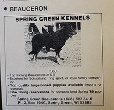 Print 1989 dog d'occasion  Expédié en Belgium