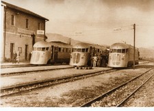 trita sarde usato  Palermo