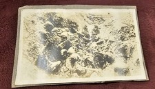 Antique photograph bones for sale  Fremont