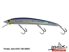 Molix finder jerk usato  Frosinone