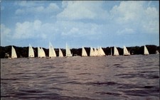 Sailboat race browns for sale  Clearwater