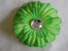 Gerbera daisy flower for sale  BIRMINGHAM