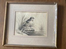 Victorian watercolour painting for sale  HOVE