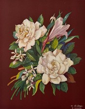 Vintage art deco for sale  Blaine