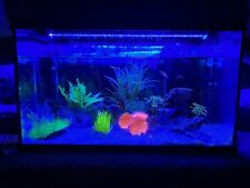 Fish tank fresh for sale  CAMBORNE