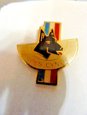 Pin chiens berger d'occasion  Monchecourt