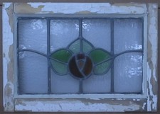 Pretty mackintosh rose for sale  Pittsboro