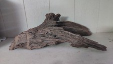 Legno naturale per usato  Sorso