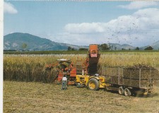 Trator de colheita de cana-de-açúcar Queensland, Austrália c1975 comprar usado  Enviando para Brazil