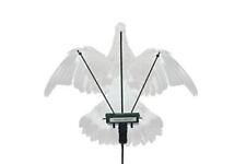 Turbo flapper pigeon for sale  UK