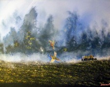 Large 20x20 gallery for sale  Batavia
