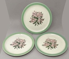 Pennsylvania mountain laurel for sale  Washington