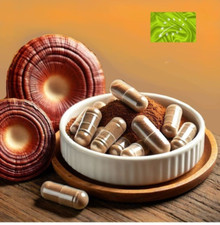 Reishi ganoderma bio usato  Quartu Sant Elena