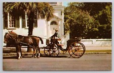 Postcard carriage taxi for sale  Johnson City