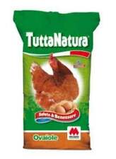 Mangime mangimi per usato  Nettuno