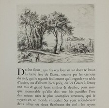 Belleau journée bergerie d'occasion  Luzech