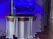 Acquario curvo 200 usato  Acerra