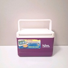 Vintage 1992 igloo for sale  Bedford