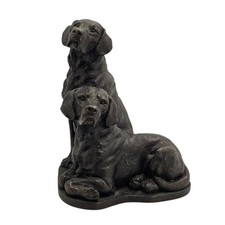 Pair labrador dogs for sale  MANCHESTER