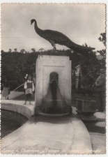 TERME DI CHIANCIANO - SIENA - FONTANA DEI PAVONI - DETTAGLIO - VIAGG.1950 -19976, usado comprar usado  Enviando para Brazil