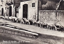 Barete piedi il usato  Roma