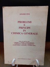 Fini problemi principi usato  Rimini