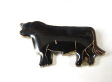 Black angus cow for sale  Minneapolis