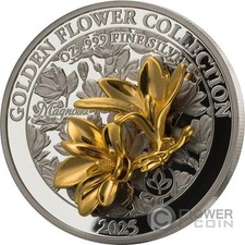 1 dollaro oro usato 1 dollaro oro usato Ciampino