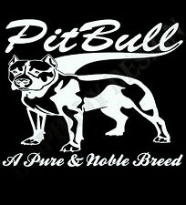 Pitbull terrier dog for sale  ENFIELD