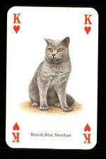 Playing card cat for sale  EASTBOURNE