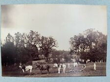 Photo albumine charrue d'occasion  Nantes-