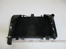 Wasserkühler kawasaki zrx gebraucht kaufen  Ellwangen (Jagst)