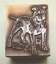 Pit bull terrier for sale  LONDON