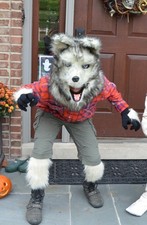 Wolf husky head for sale  Hinsdale
