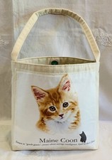 Original maine coon for sale  UK