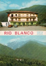 Rino sonico rio usato  Cremona