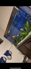 Cleair aquatics 550l for sale  NORTHAMPTON