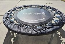 Maximus pro folding for sale  New Port Richey