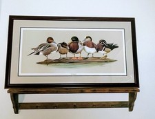 Ducks unlimited surfers for sale  Rogersville
