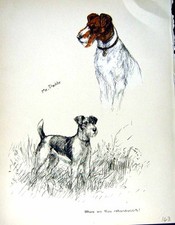 Old vintage print for sale  UK
