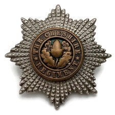 Officers cheshire regiment for sale  ORPINGTON