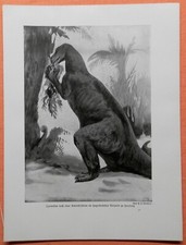 Iguanodonte ricostruzione hage usato Iguanodonte ricostruzione hage usato  Spedire a Italy