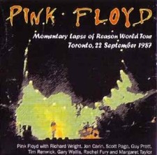 Pink floyd toronto usato  Spedire a Italy
