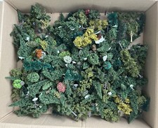 Bäume unterschiedlicher form gebraucht kaufen  Celle
