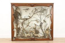 Taxidermy antique display for sale  Kaukauna