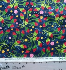 Jane spolar quilt for sale  Casper