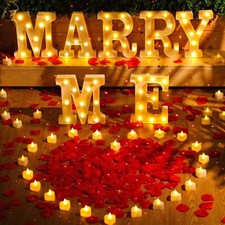 Hortsun marry light for sale  Katy
