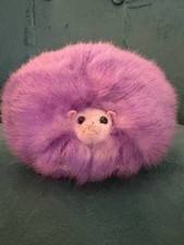 Pygmy puff harry for sale  WELLS